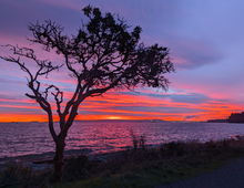 Load image into Gallery viewer, 2025 Calendar - Vancouver Island Seascapes
