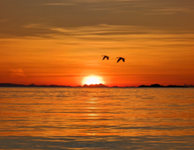 Load image into Gallery viewer, 2025 Calendar - Vancouver Island Seascapes