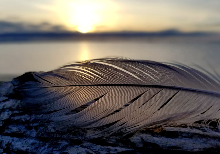 Making the Most of Every Morning