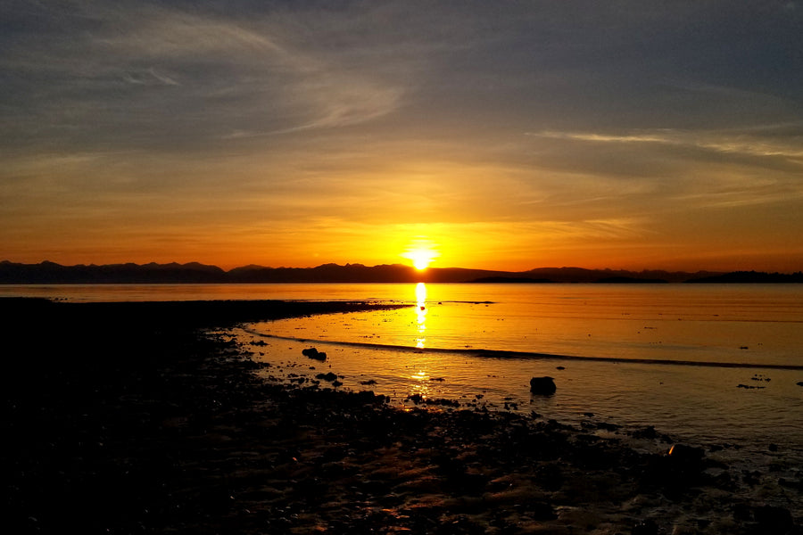 How Does Gratitude Change Our Attitude?