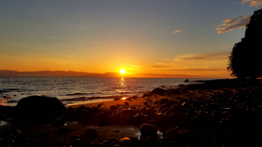 What Are We Avoiding When We Scroll Without a Purpose