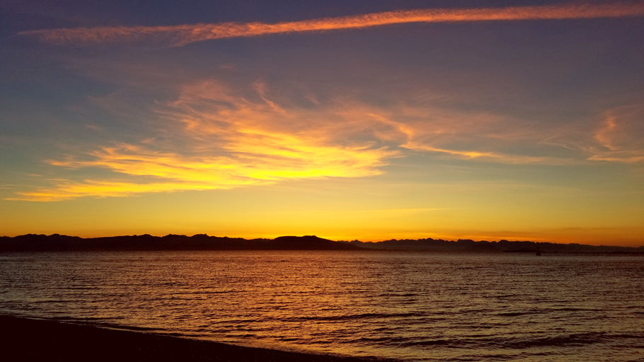 Is it Possible That We Are All Artists?