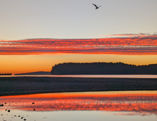 2027 Vancouver Island Sunrises Calendar