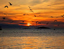 2027 Vancouver Island Sunrises Calendar