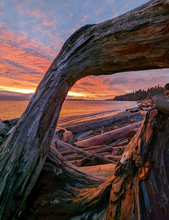 Load image into Gallery viewer, Cards - Vancouver Island Sunrises